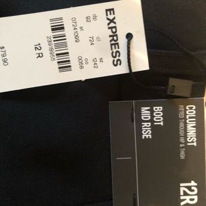 Express Columnist dress pants